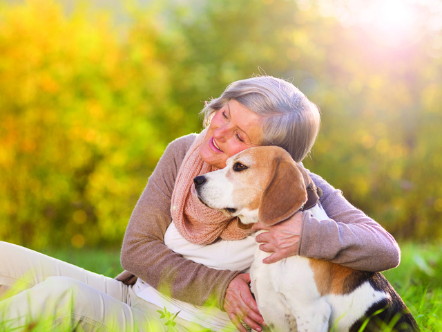CAREBUILDERS AT HOME